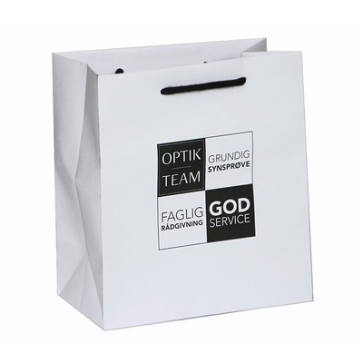 kraft paper bag 0810