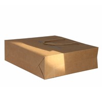 kraft paper bag 0813