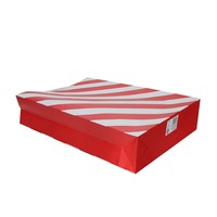 gift bag 0974