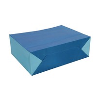 gift bag 0971