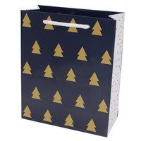 gift bag 0968