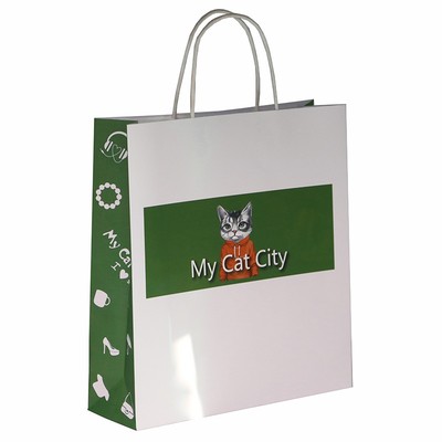 kraft paper bag 0807